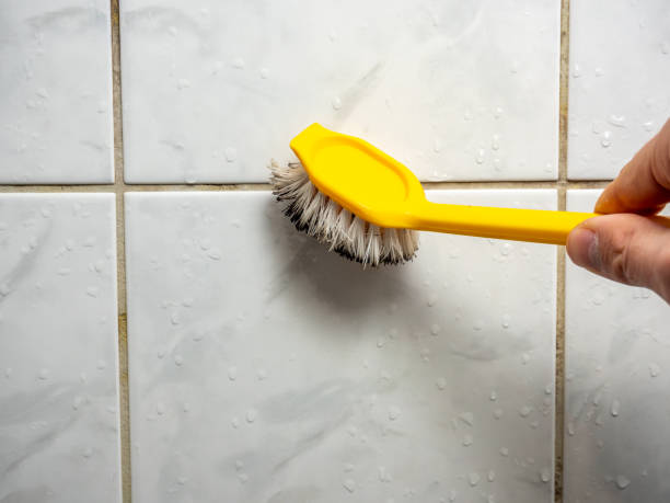 Best Emergency Mold Remediation in Fulton, MD