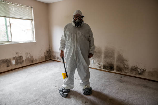 Professional Mold Remediation in Fulton, MD